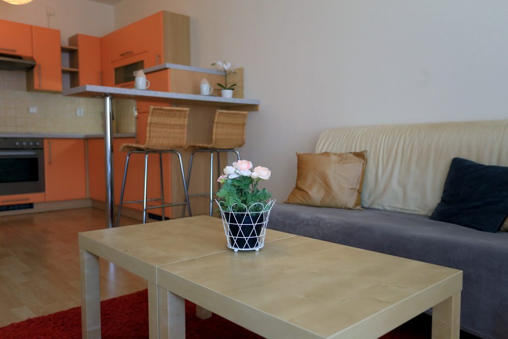 Prodej bytu 1+kk, Podveská, Brno-Komín