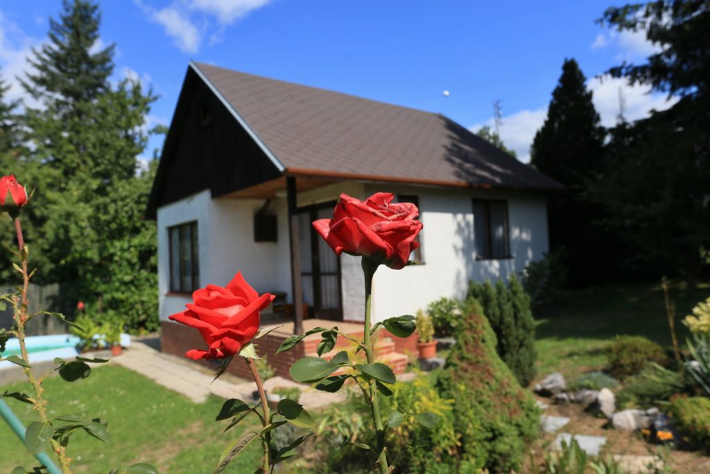 Prodej chaty, Brno - Ivanovice